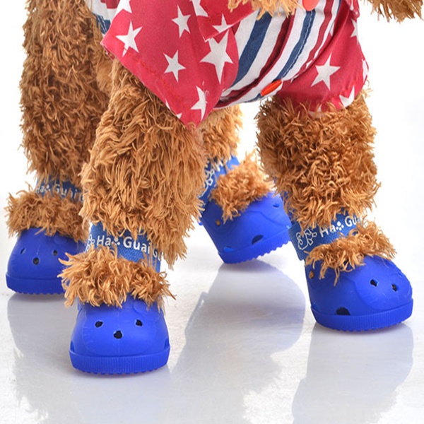 Casual Shoes for Cat Dog